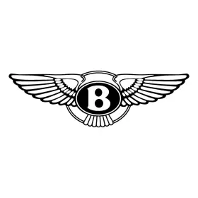 Ase42320201000 Bentley Genuine Tool - Length-measuring Laser Va