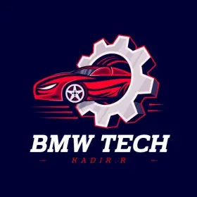 38271664619a Bmw Remote Coding And Programming Flushing Recoding. Via Remotely