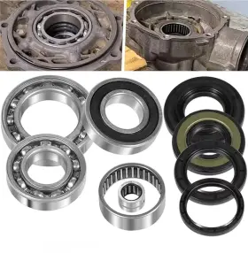 Buqp1146 Bu-auto Rear Differential Bearings Seals Kit For Suzuki Ozark Lt-f250 Quadsport Lt-z250