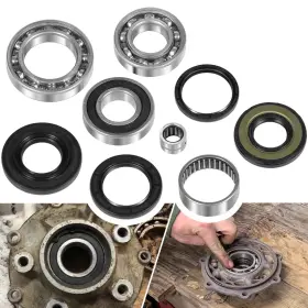 Wiqp1146 Wi-auto Rear Differential Bearings Seals Kit For Suzuki Ozark 250 Lt-f250 2x4 2wd 02-14