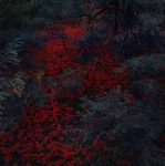 Alex Cobb - Marigold & Cable New Vinyl Lp. Price: $25.65.