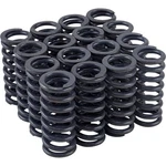 Speedway Motors 1932-1953 Flathead Ford V8 Valve Springs Set, 85LB 2.00" New. Price: $148.99.